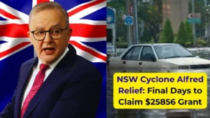 NSW Cyclone Alfred Relief Final Days to Claim $25856 Grant